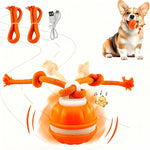 Dog Toy Ball for active dogs