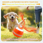Dog Toy Ball for indoor play