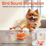 Dog Toy Ball for playful pets
