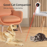 Cat Laser Toy for indoor cats