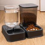 Automatic Cat and Dog Feeder with portion control